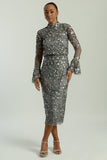 Myra grey embellished midi dress with long sheer sleeves and a fitted pencil silhouette