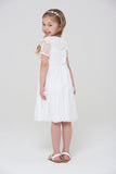 Amabella Lace Dress with Frill Collar