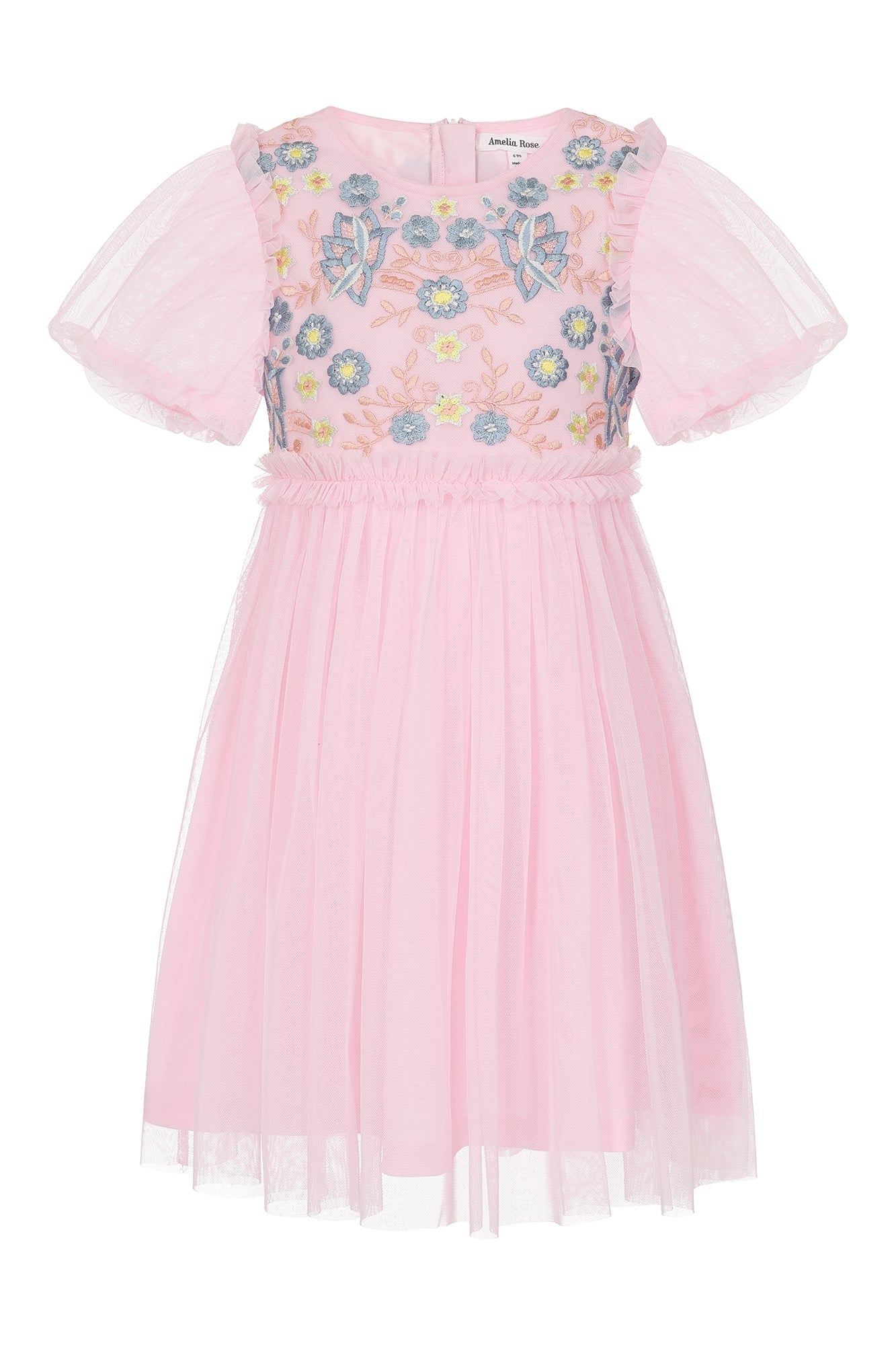 Lacey Blush Floral Embroidered Dress