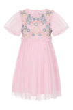 Lacey Blush Floral Embroidered Dress