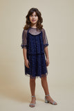 Layla Navy Sequin Dress