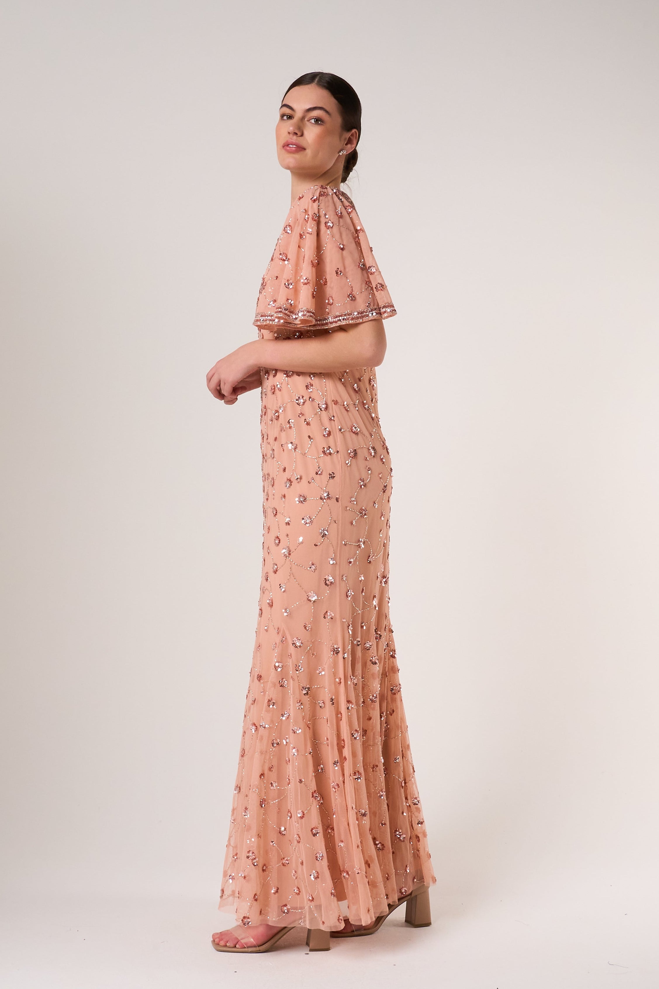 Amandine Blush Embellished Maxi Dress